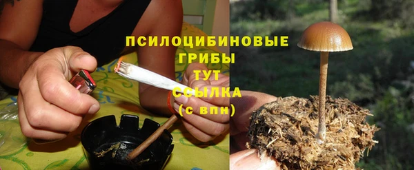 эйфоретик Алзамай