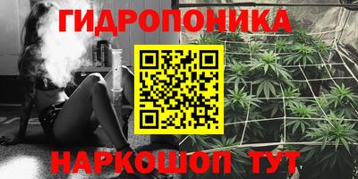 прущие грибы Малгобек
