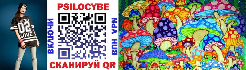 купить наркоту  Казань  Псилоцибиновые грибы Cubensis 