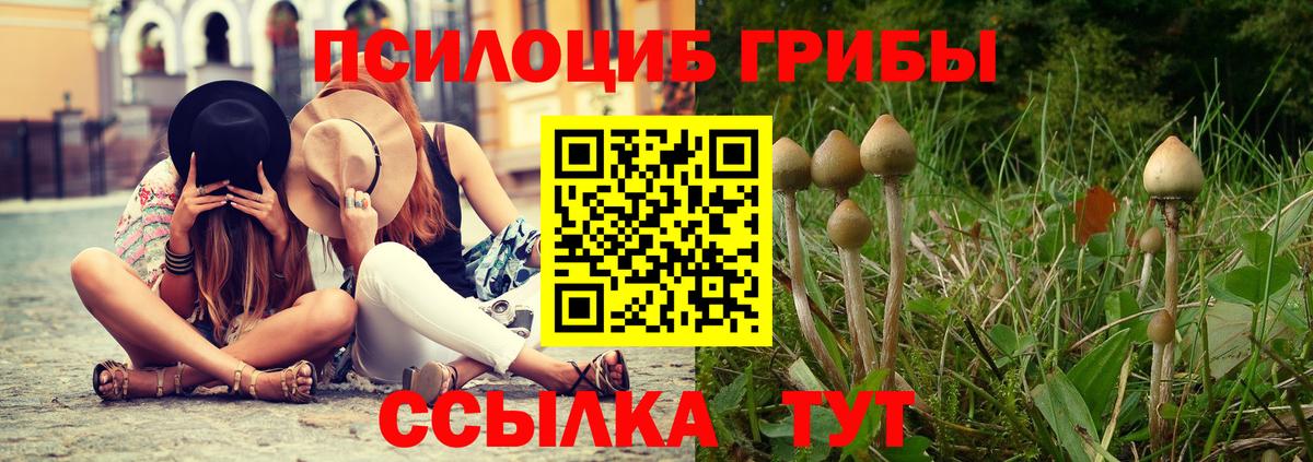 Казань  наркотики  Вход с VPN  Псилоцибиновые грибы ЛСД 