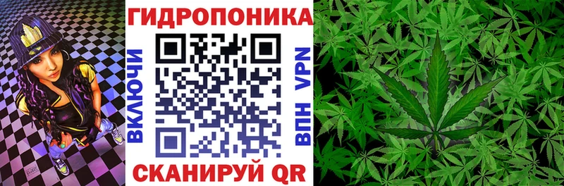 ссылка на мегу онион сколько стоит Казань МАРИХУАНА Ganja